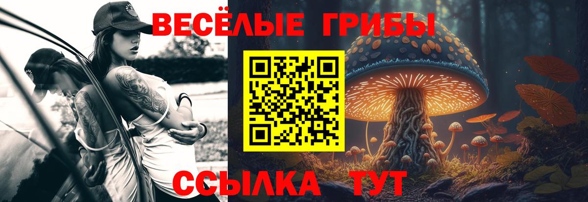 Псилоцибиновые грибы Magic Shrooms Унеча