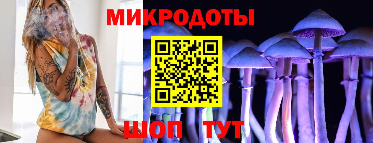 Галлюциногенные грибы мухоморы  хочу наркоту  Вход с VPN  Унеча  Галлюциногенные грибы Psilocybe 